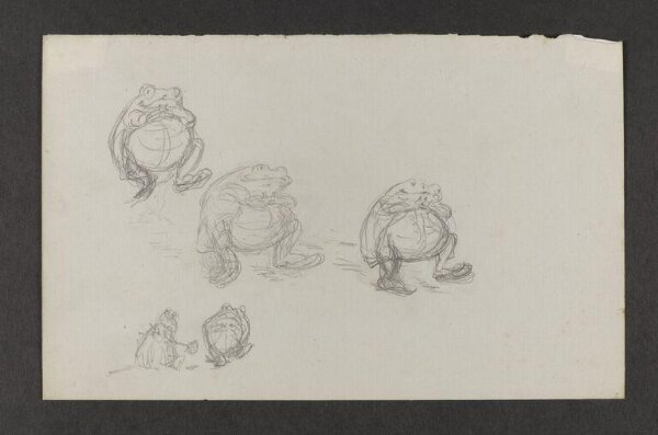 Potter, Beatrix, drawing