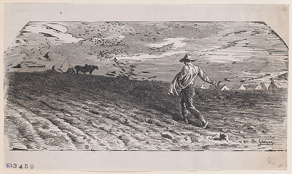 Charles Jacque, The Sower