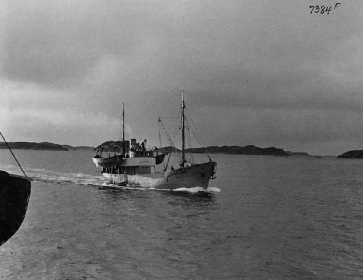 Anders Beer Wilse, -7308