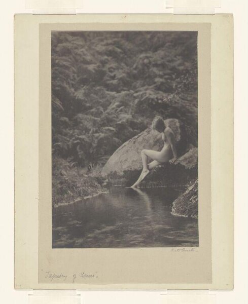Smith, Kate, Tapestry of Leaves