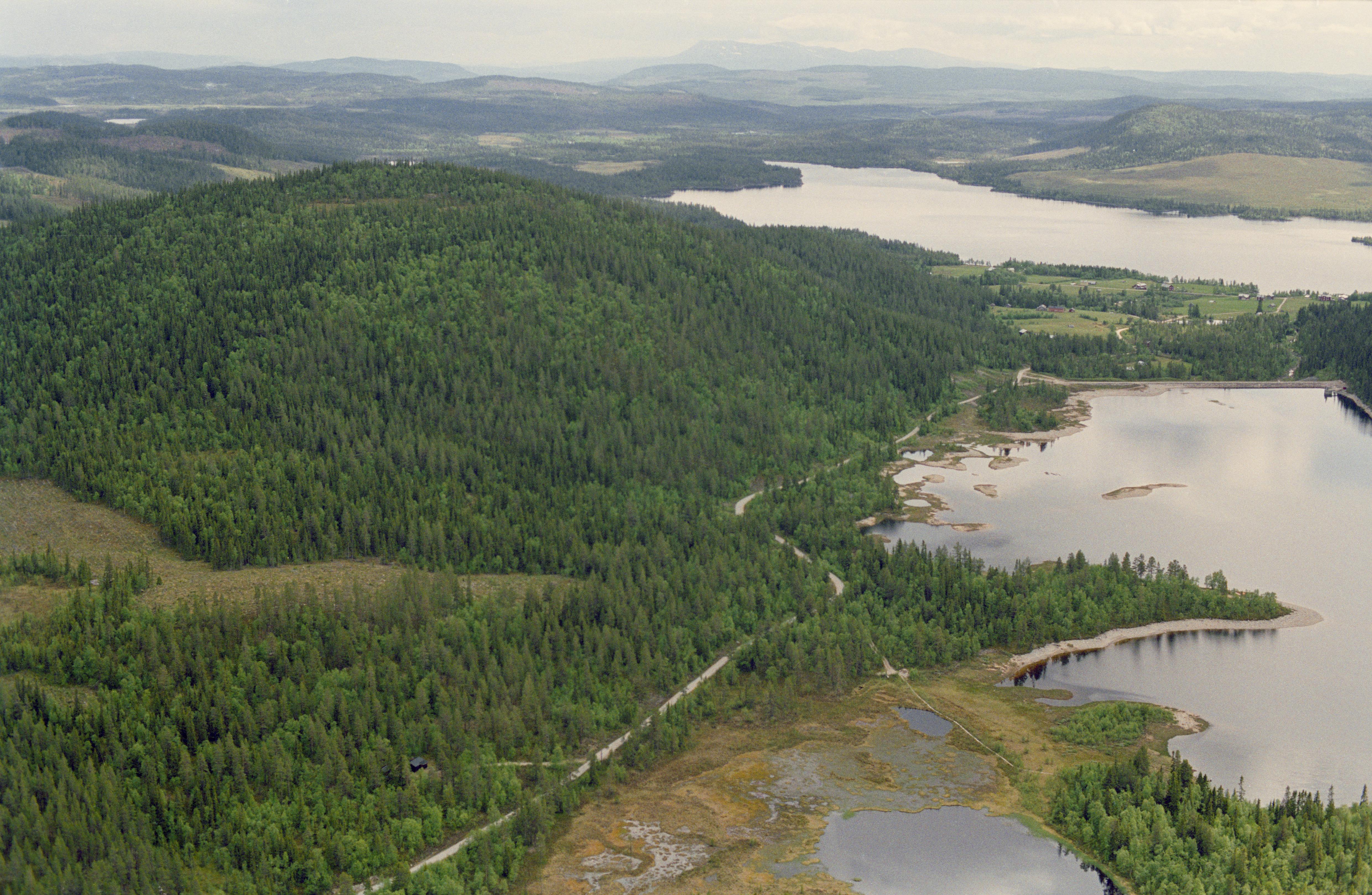 Jan Norrman, Hede 201:1