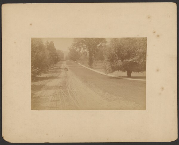 Unknown, [View down country road]