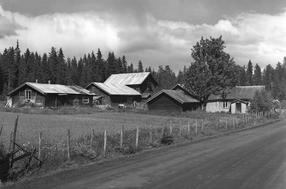 Anno Domkirkeodden, EKSTR: GARDSTUN, LUNDGAARD. Se Løtenboka, bind 2. Bygdeboka fra 1953, side 368