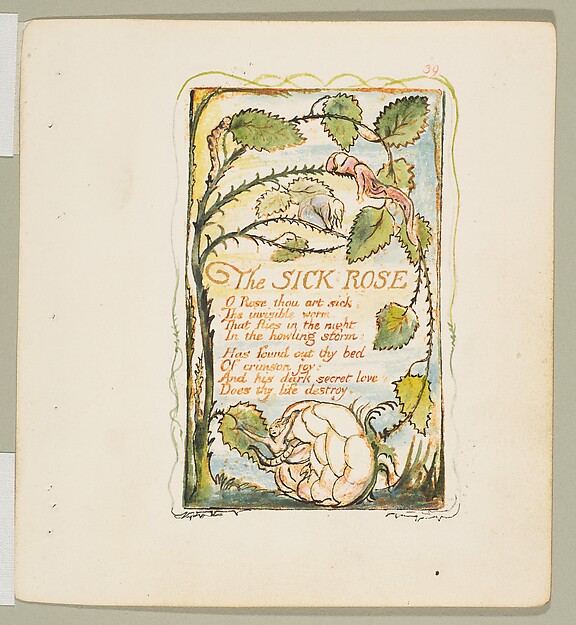 William Blake, Songs of Experience: The Sick Rose