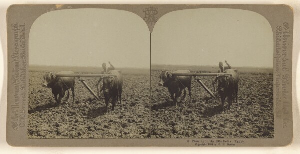 Carleton H. Graves, Plowing in the Nile Delta. Egypt.
