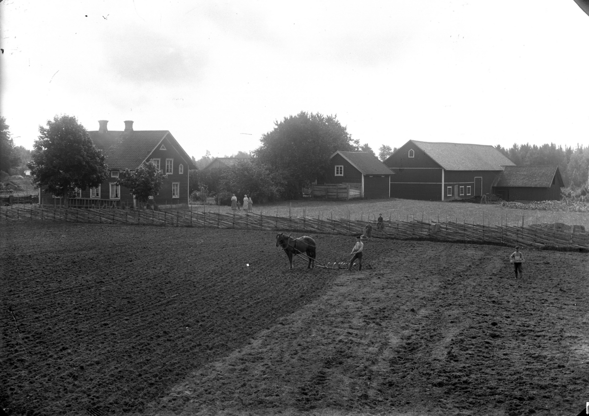 Gustaf Ferdinand Hallberg, Plöjning med häst, bostadshus och ekonomibyggnader.