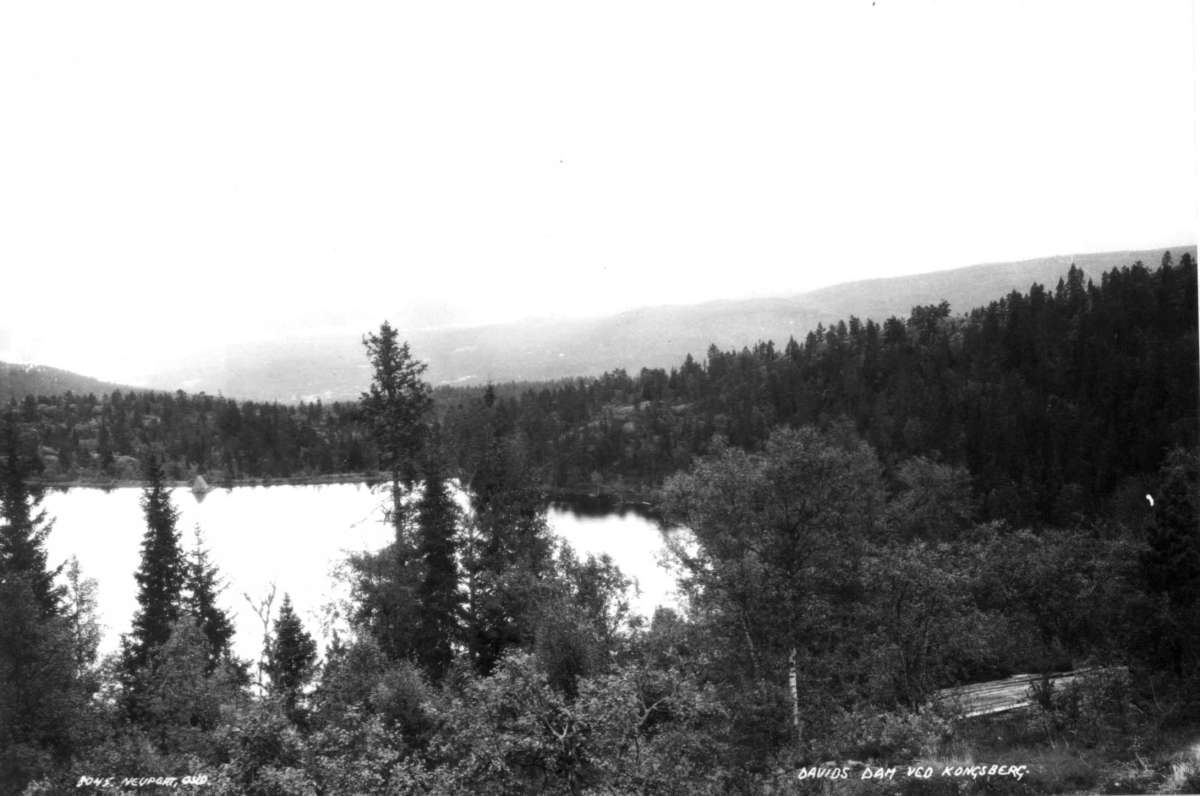 Hermann Christian Neupert, Davids Dam. Kongsberg. 1930. Landskap med skog. Vann.
