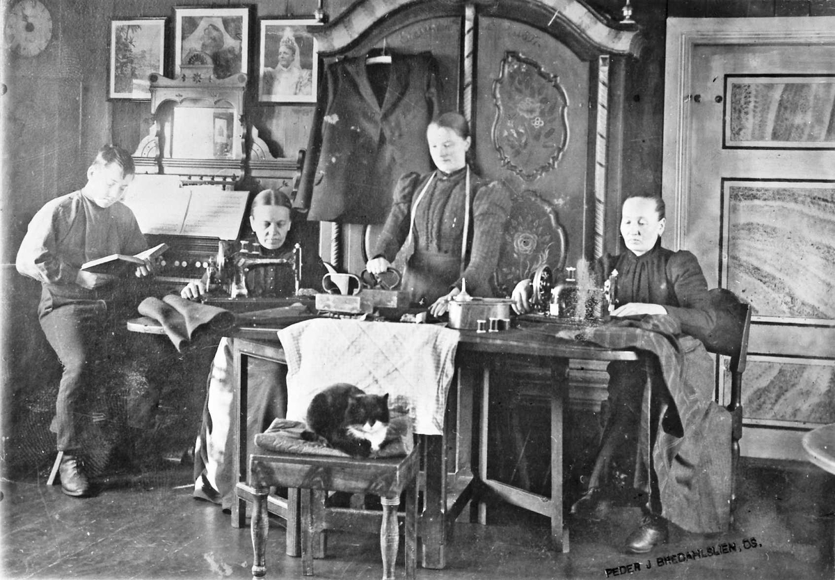 Peder J. Bredalslien, Gruppebilde. Kvinner sitter og syr, gutt leser.