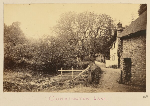 Unknown, Cockington Lane