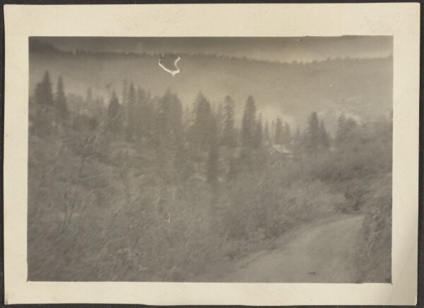 Louis Fleckenstein, [Landscape]