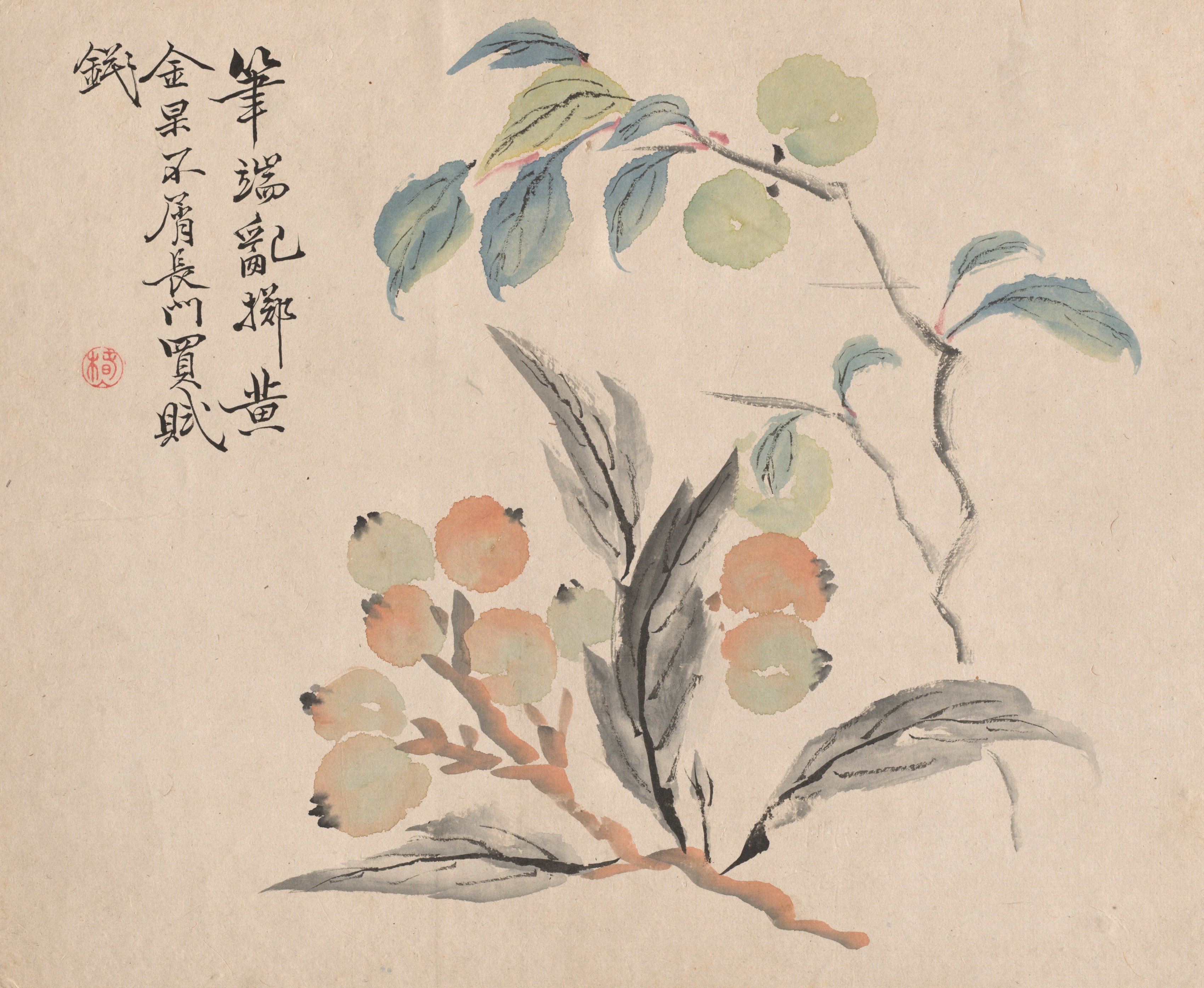 Tsubaki Chinzan, Loquat Tree of Japan