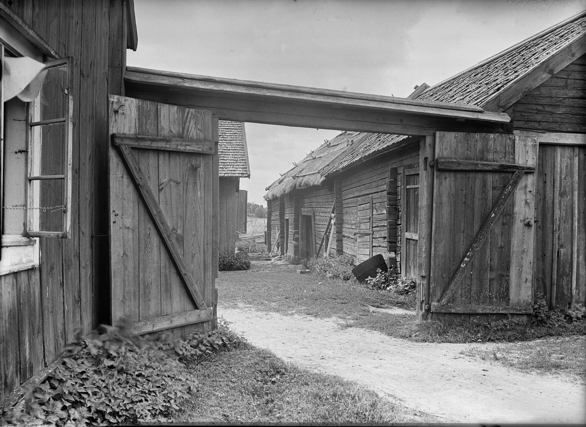 Paul Sandberg, Plankport - Larsson, Rörby, Bälinge socken, Uppland 1920-tal