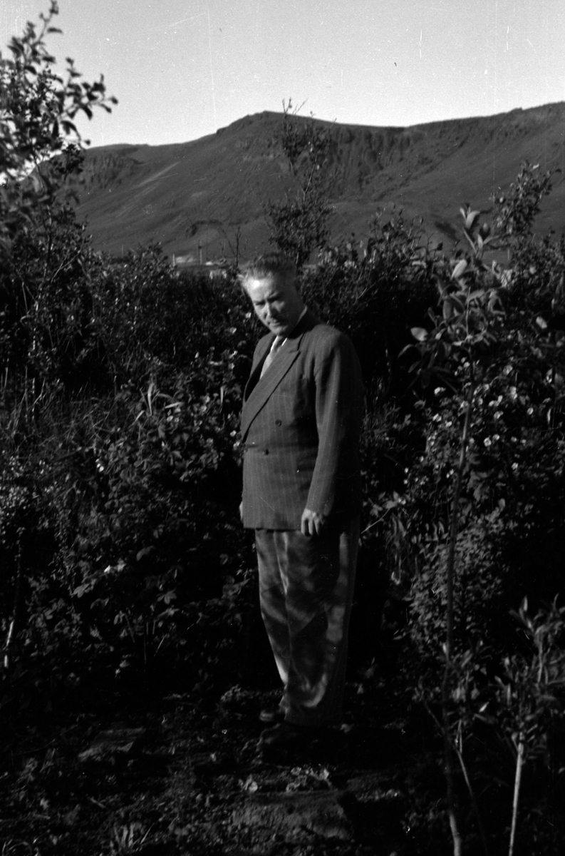 Adolf Skjegstad, ASK-02193