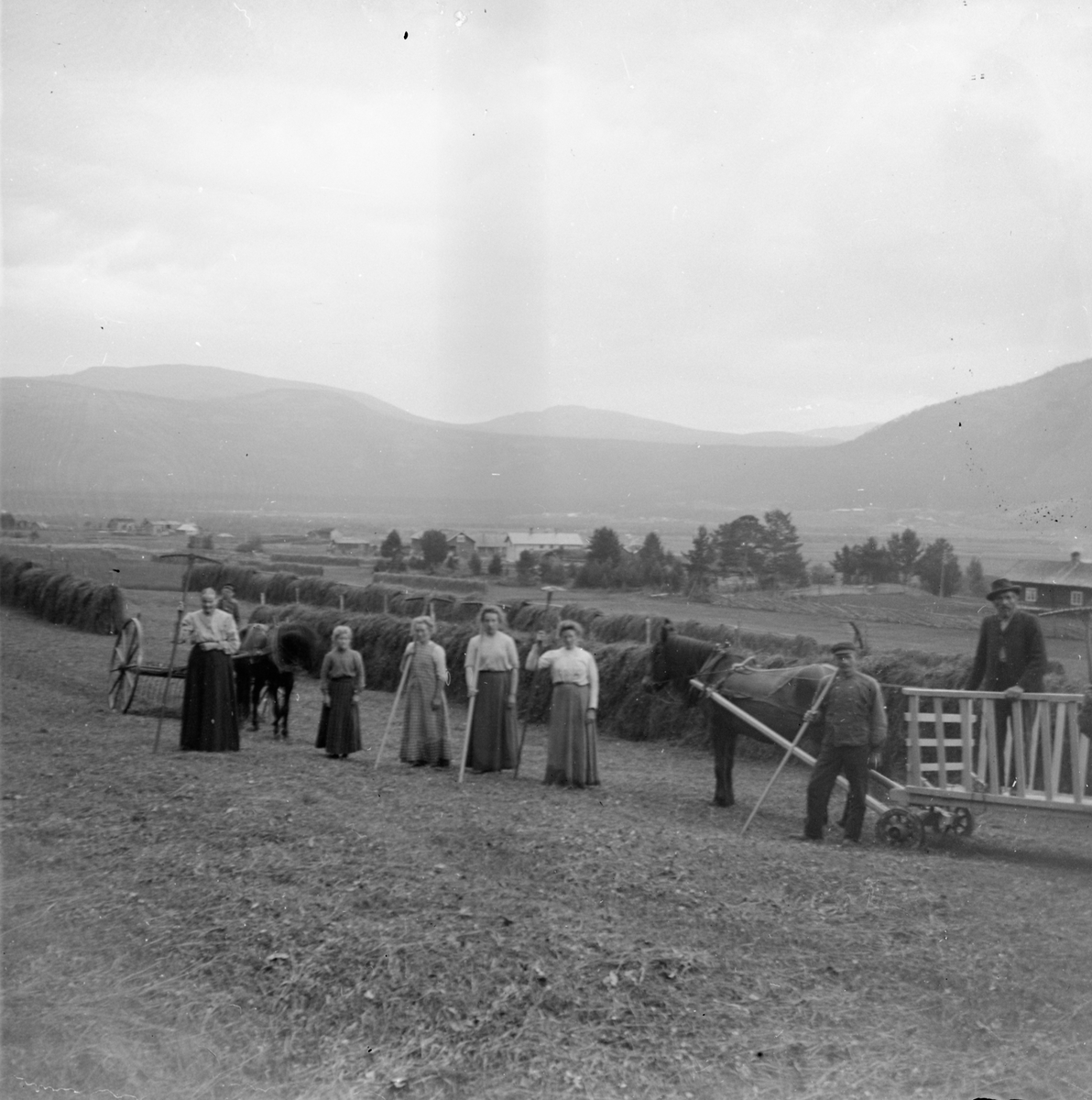 Anders O. Sørhuus, Høykjøring (stereoskopi)