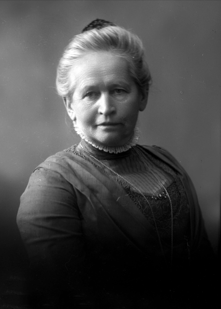 Gustav Borgen, NFB.05710