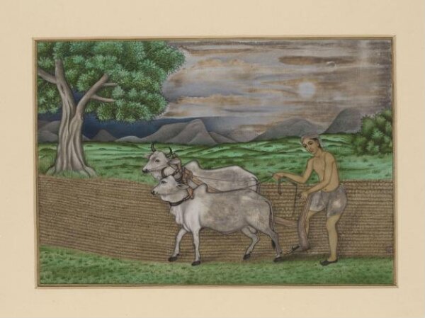 Unknown, A villager ploughing with two bullocks; a hilly landscape in the background.