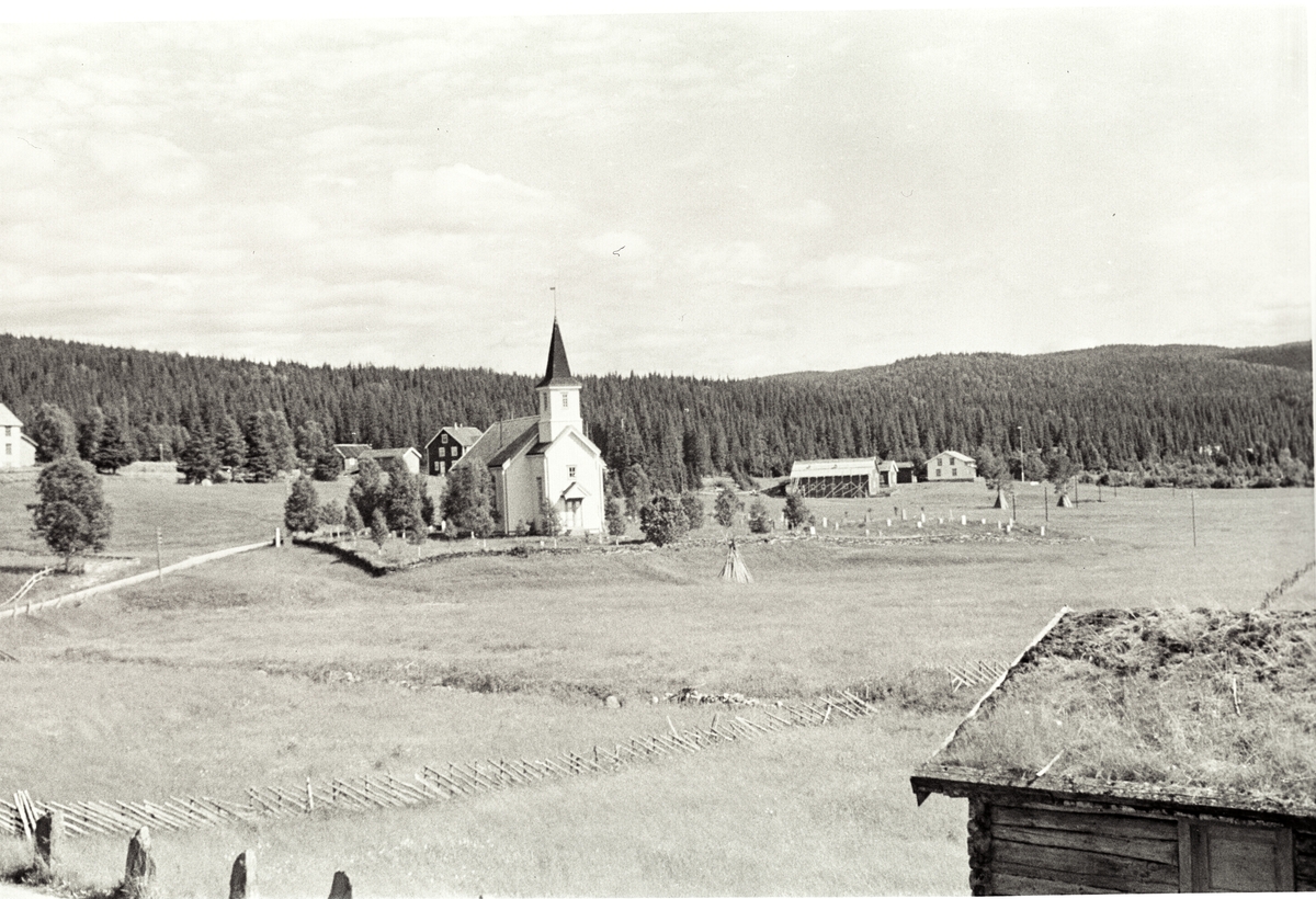Anders Beer Wilse, Prot: Grane jernbanen (feil i prot)