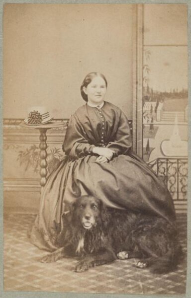 Unknown, Carte-de-visite photographs (480). Four photographs  are dry-mounted to each sheet (120).