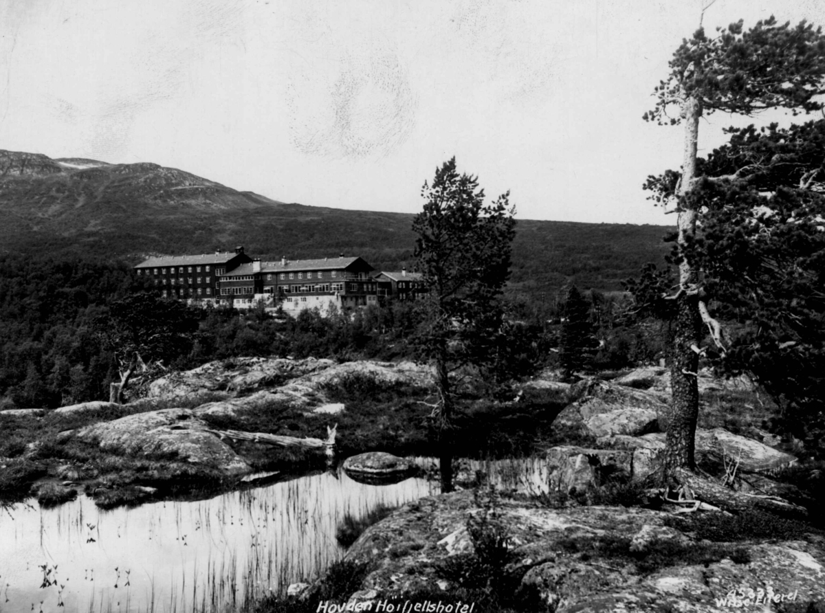 Anders Beer Wilse, Hovden Hoyfjellshotell.