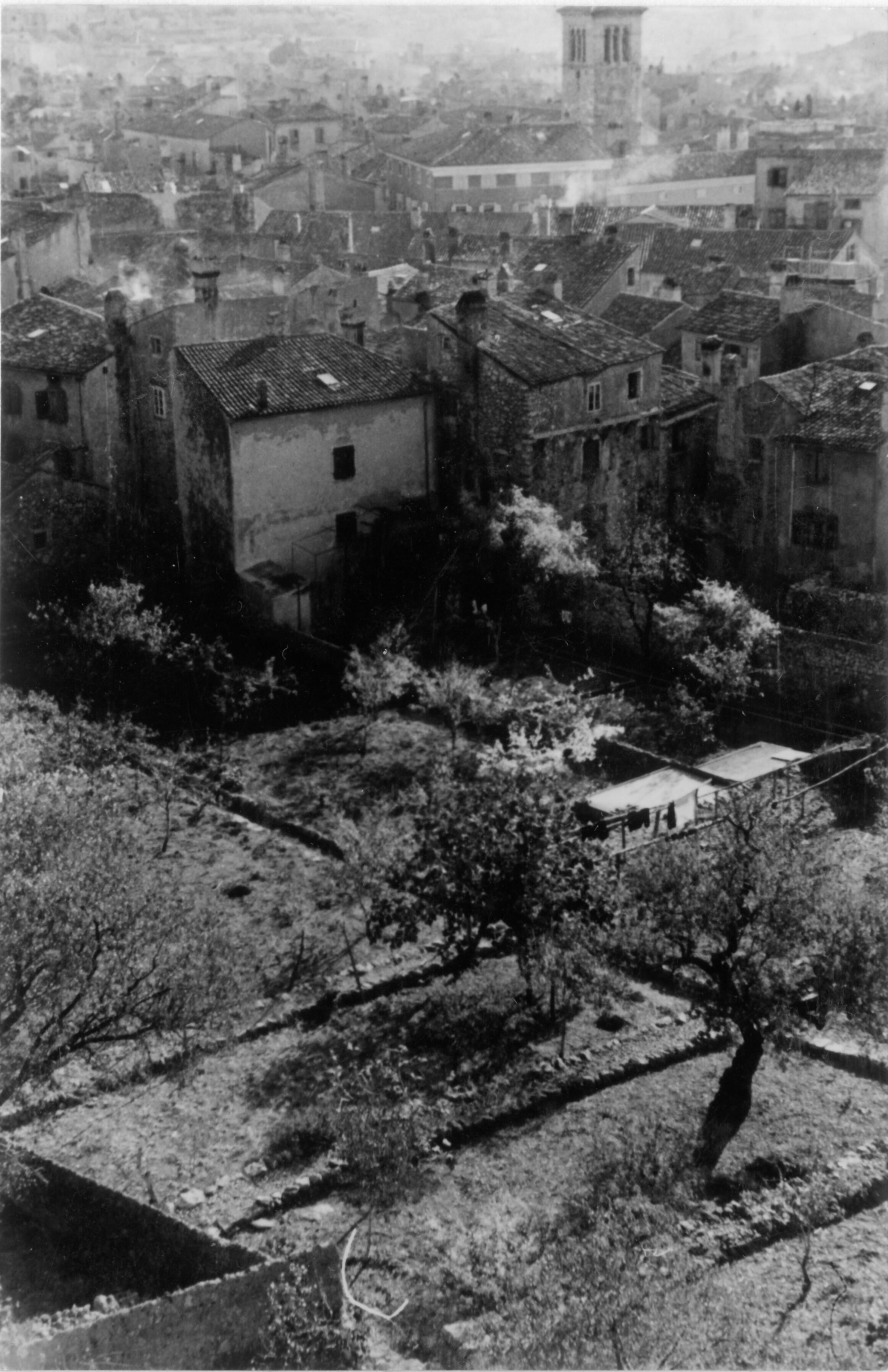 Branko Fučić, Cres, veduta „Drivenika“