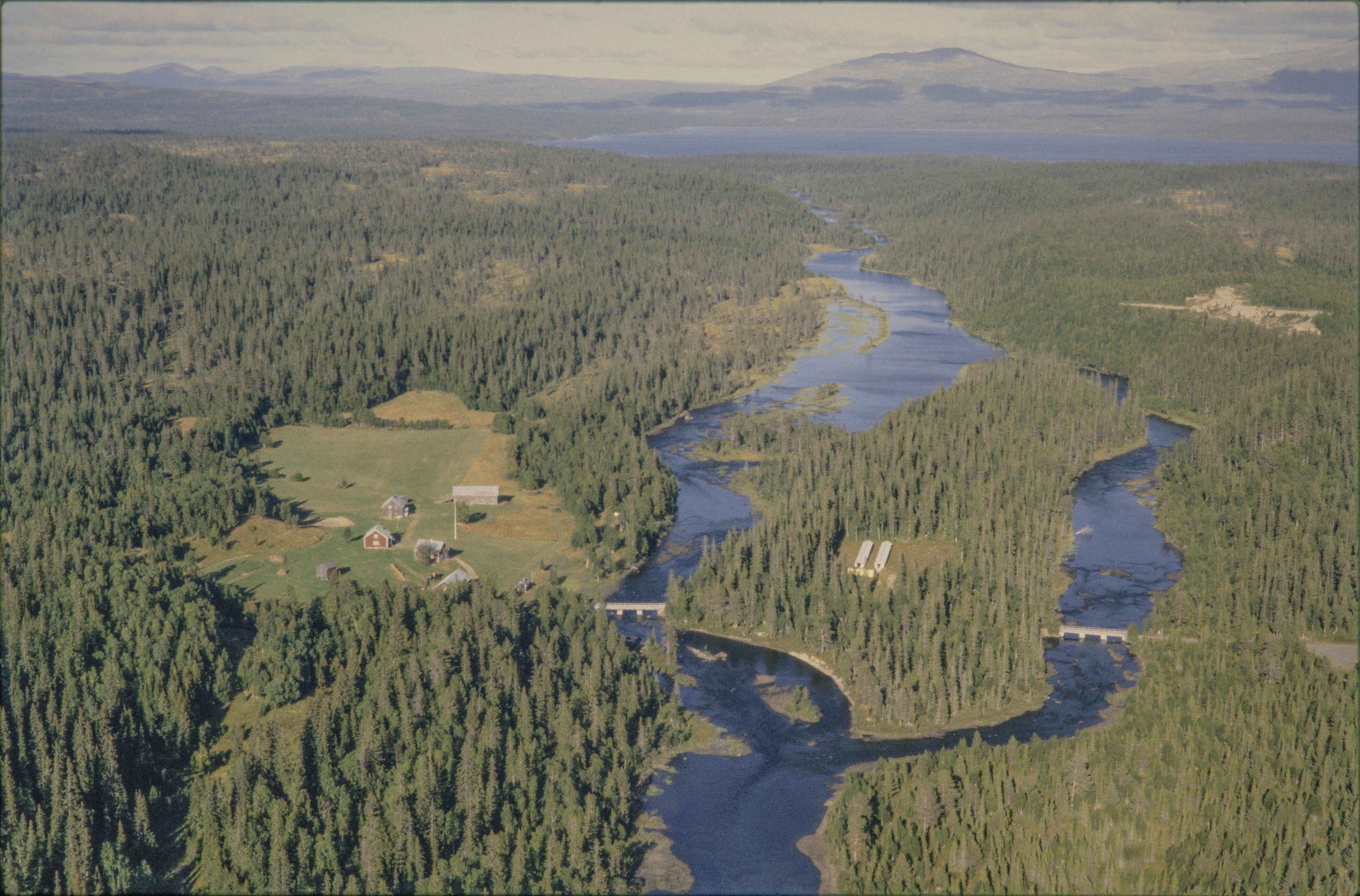 Jan Norrman, Kall 445:1