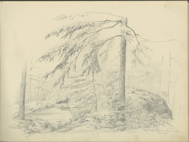 Anna von (autor) Krüdener, Kivimürakas metsas - Rast auf d. Wege n. Loppenem, 29Juli. (leht joonistusplokist)