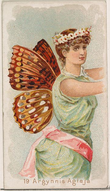 William S. Kimball & Company, Card 19, Argynnis Aglaja, from the Butterflies series (N183) issued by Wm. S. Kimball & Co.