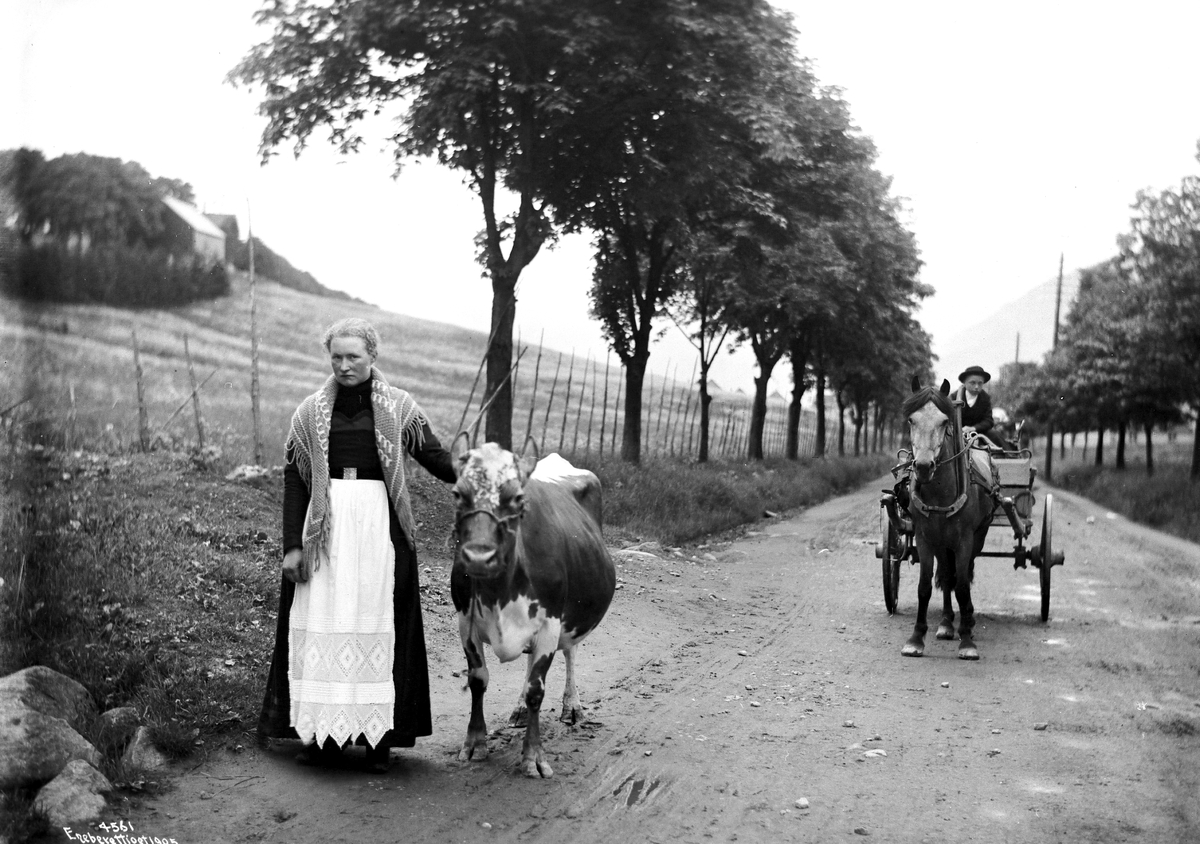 Anders Beer Wilse, Prot: Landeveissene Ko og Stolkjærre 1906