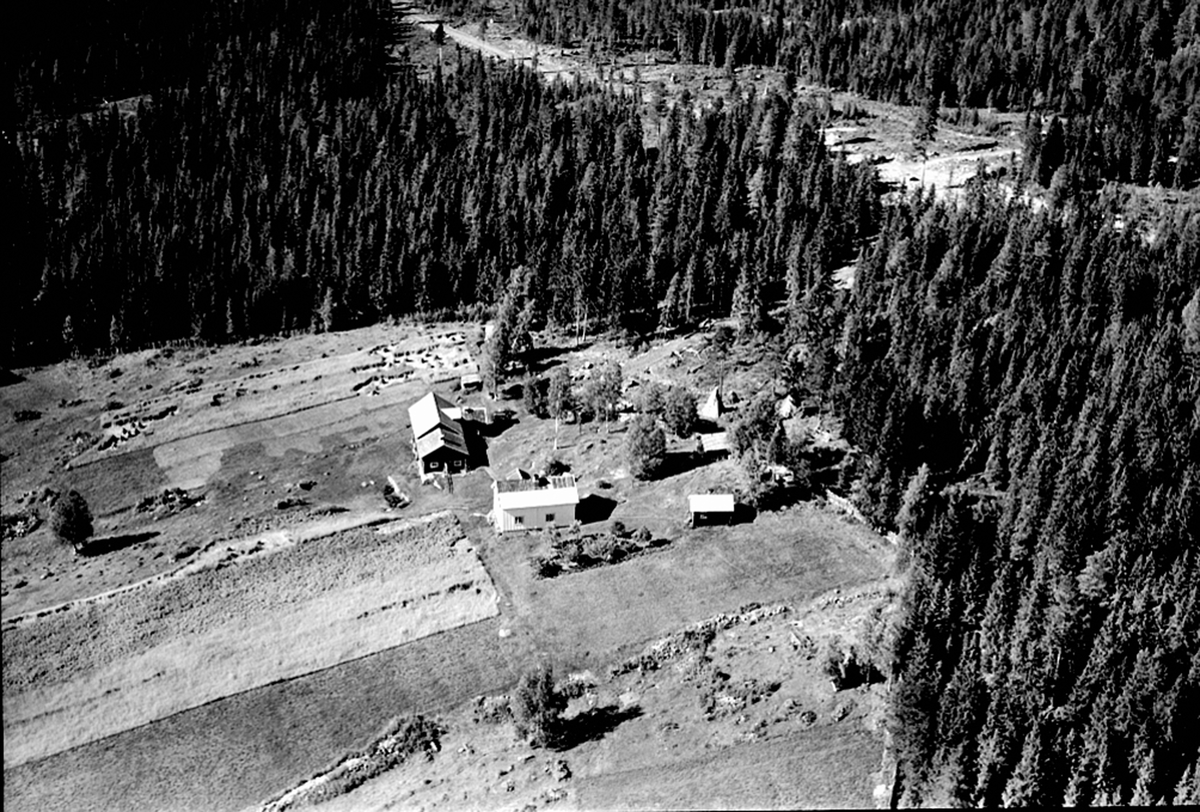 Widerøes Flyveselskap A/S, FLYFOTO RASKERUD 200-1, SPETALEN