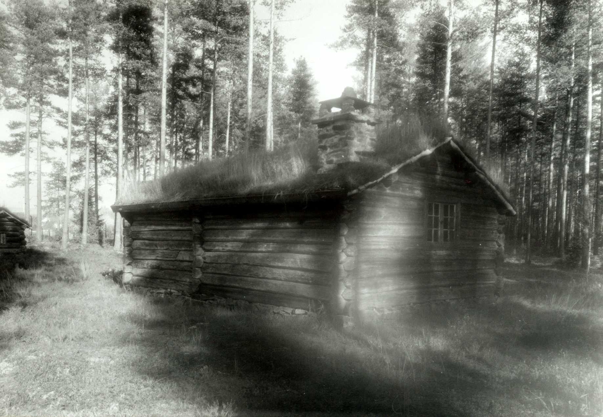 Gisle Midttun, Follandsvangen, Alvdal, Nord-Østerdal, Hedmark. Seterhus mellom høye trær. Nå på Glomdalsmuseet.