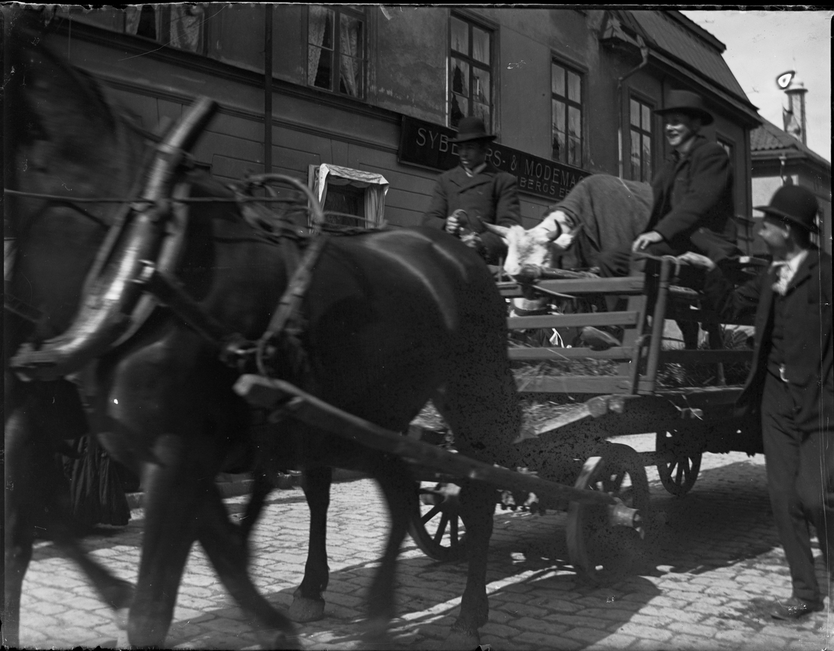 Okänd,, Horse and Wagon, Uppsala