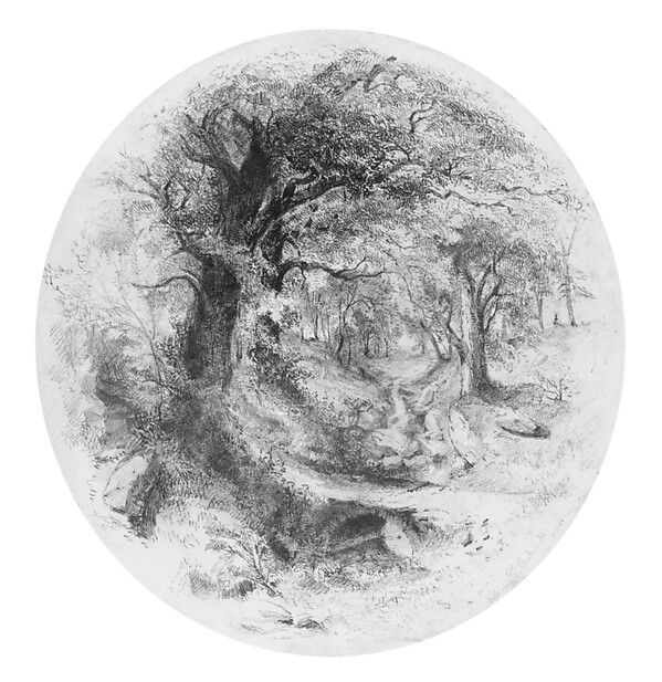 William Trost Richards, Interior of Woods with Small Stream (from Cropsey Album)