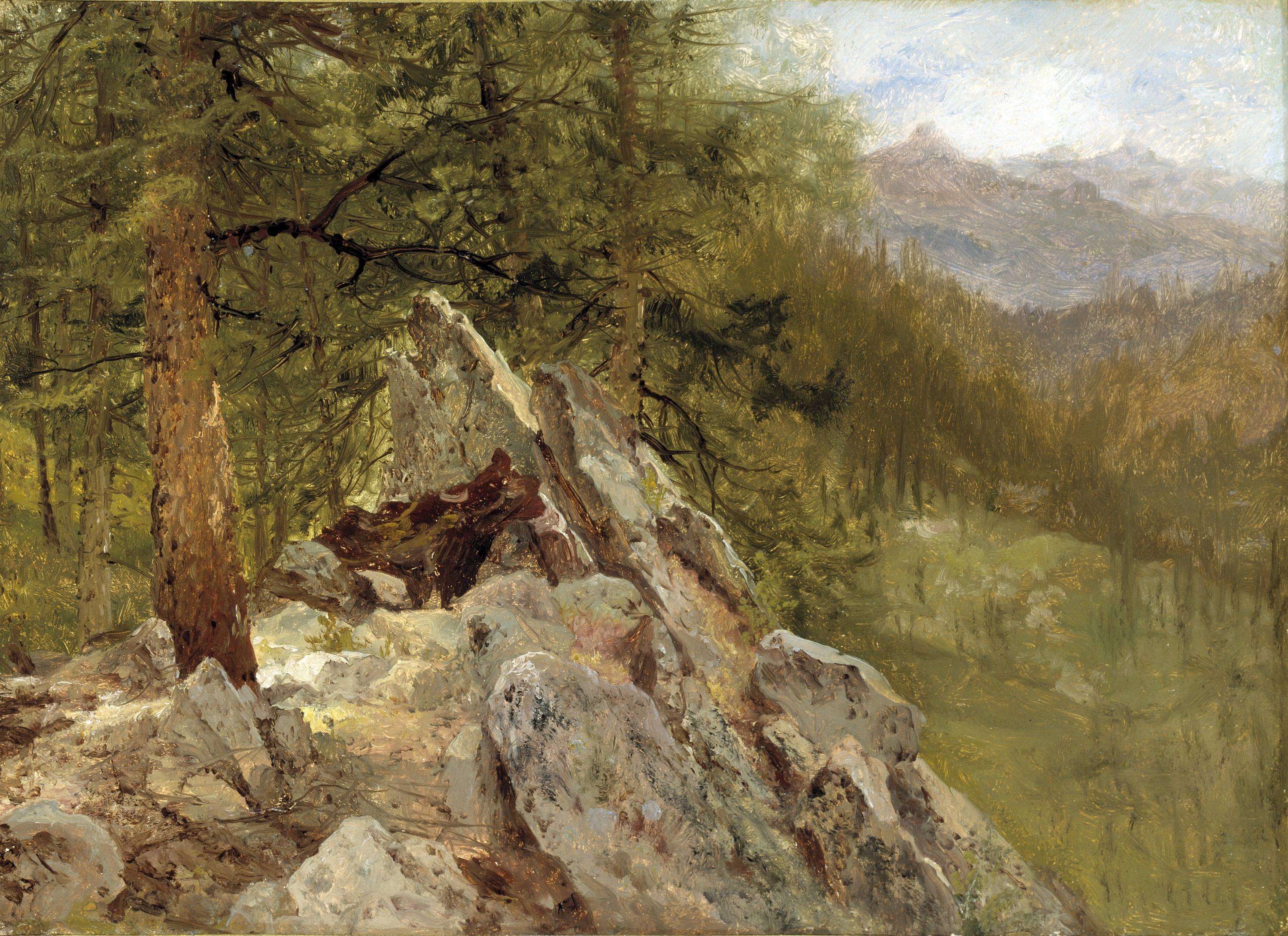 John Frederick Kensett, Western Landscape