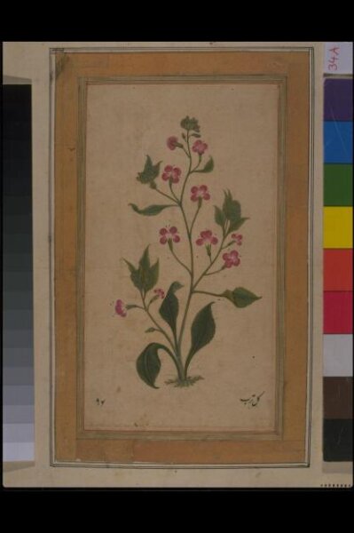 Unknown, Painting