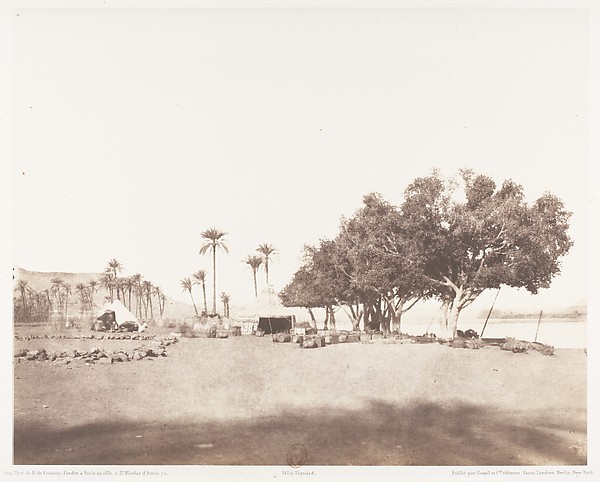 Félix Teynard, Korósko, Sycomores et Campement d'une Caravane pour le Sennâr