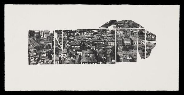 Anne Desmet, Panorama