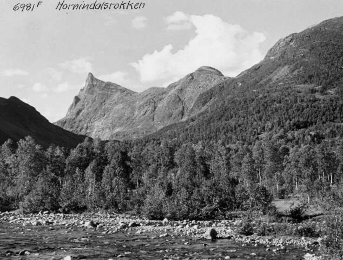 Anders Beer Wilse, -6778