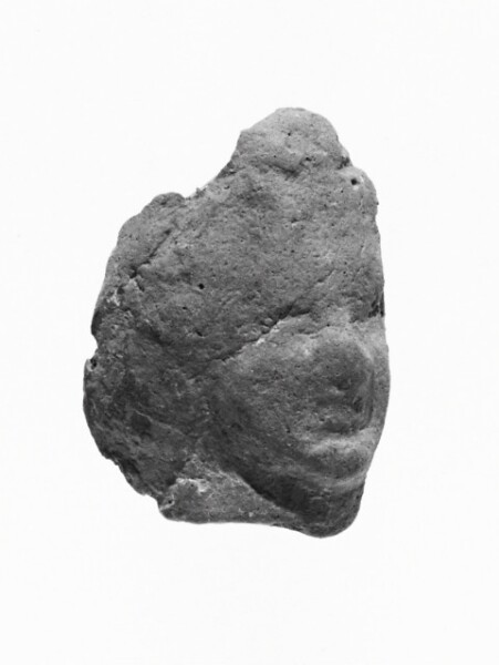 Unknown, Female Head