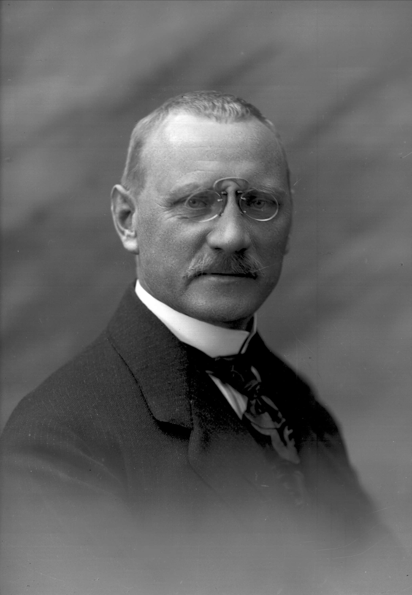 Gustav Borgen, Portrett av Joachim Wilhelm Skau.