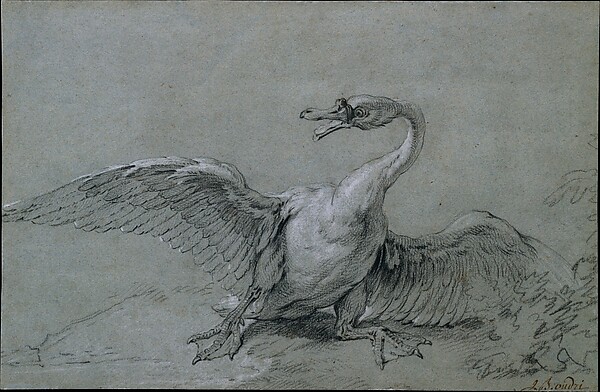 Jean-Baptiste Oudry, Angry Swan