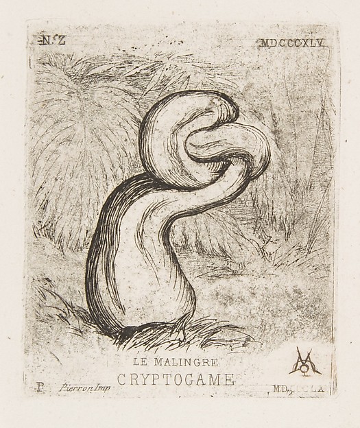Charles Meryon, The Puny Cryptogamia