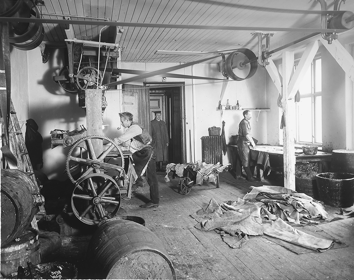Anders Beer Wilse, Prot: Biongs Garveri 2de Etage