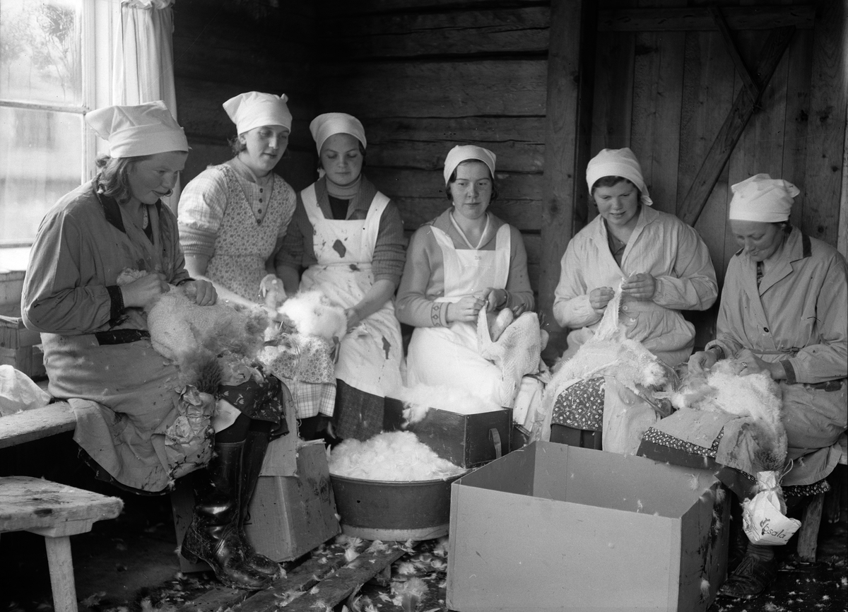 Paul Sandberg, Young women pick down on Denmark’s JUF’s poultry slaughter course in a brewhouse next to Denmark’s homestead