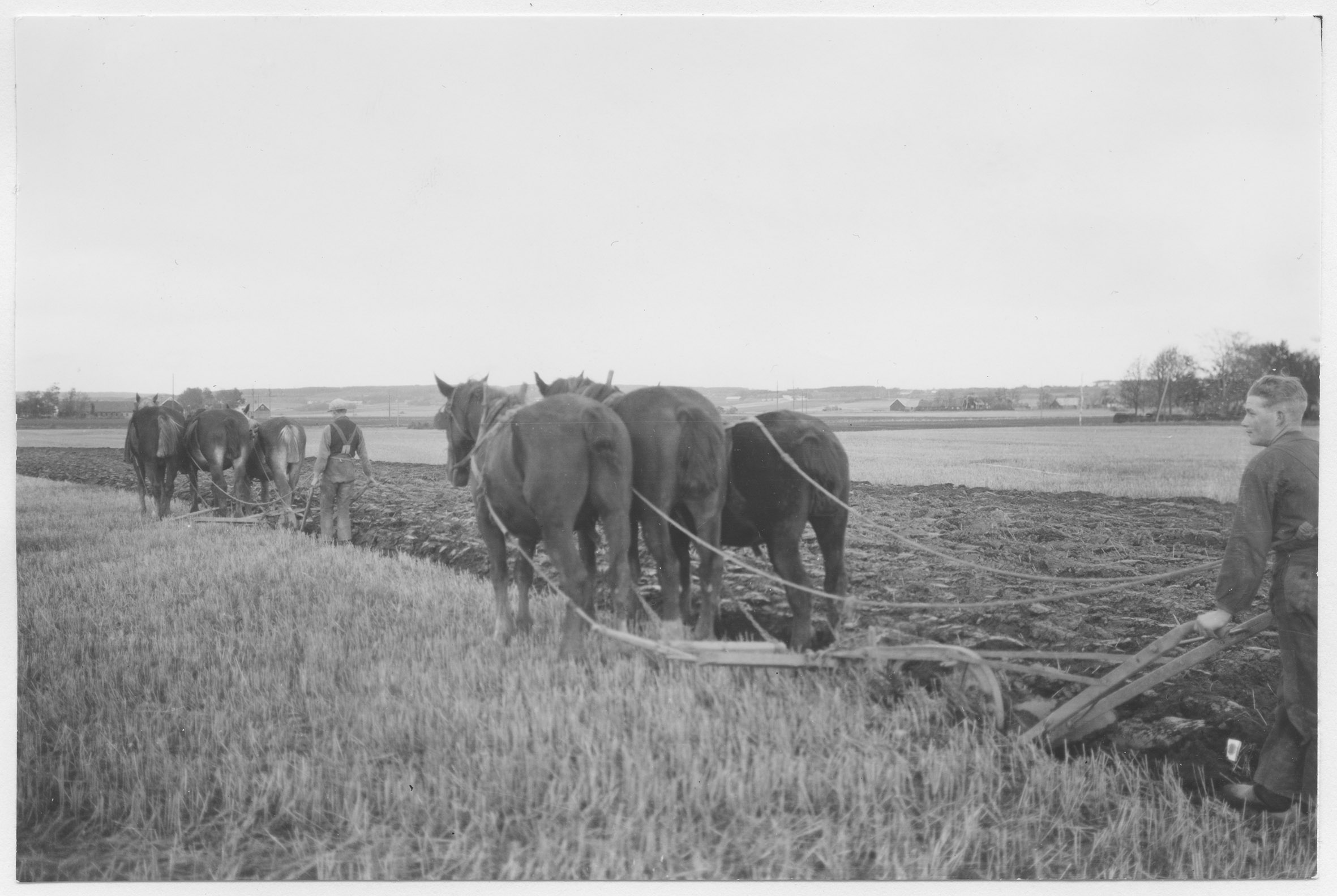 Mårten Sjöbeck, Vejbyslätt, åkrar