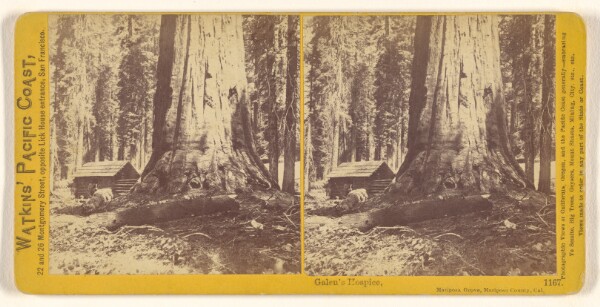 Carleton Watkins, Galen's Hospice, Mariposa Grove, Mariposa County, Cal.