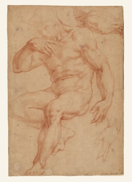 Giorgio Vasari, Studies of a Male Nude, a Drapery, and a Hand