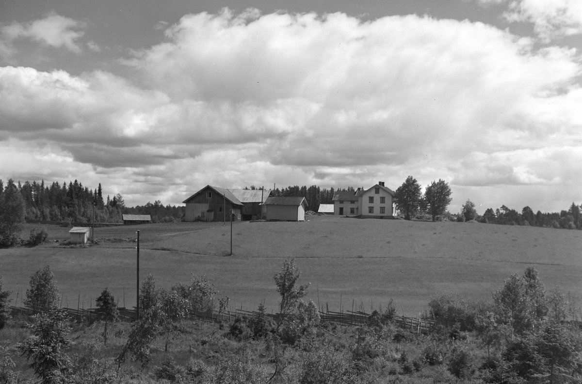 Anno Domkirkeodden, EKSTR: GARDSTUN, EKRUM. Se Løtenboka, bind 2. Bygdeboka fra 1953, side 289