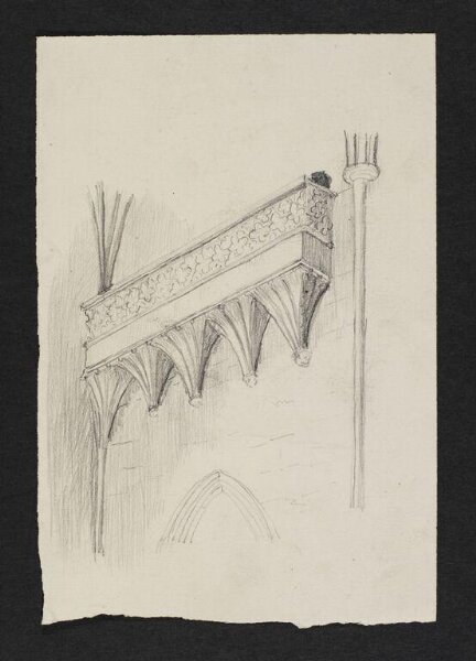Potter, Beatrix, drawing