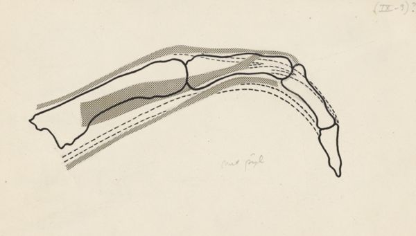 Harry de Bles, Schematic representation of the finger