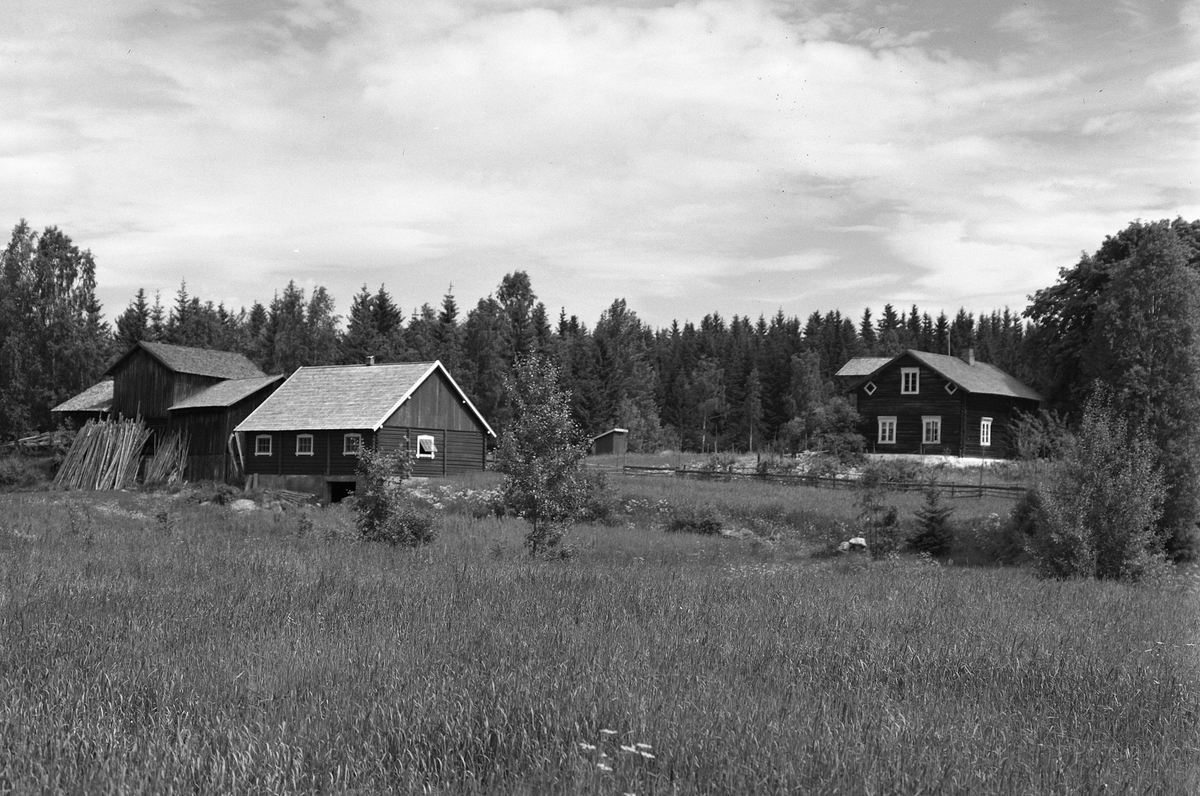 Anno Domkirkeodden, EKSTR: GARDSTUN, HØIBY. Se Løtenboka, bind 3. Bygdeboka fra 1955, side 607